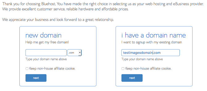 Bluehost choose domain name