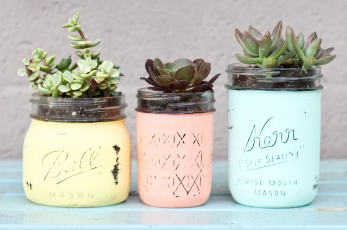 Mason Jar Succulents