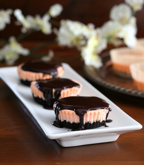 Keto Cheesecake Recipes: Keto Cheesecake Recipes: Chocolate Cherry Cheesecake Bites