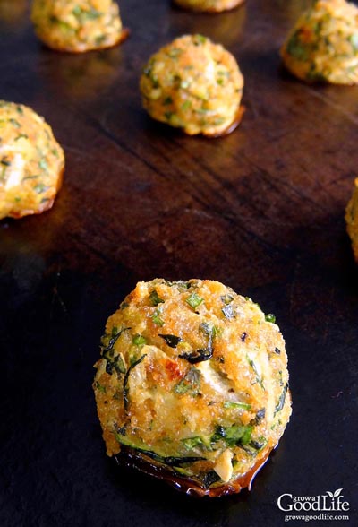 Party Snack Ideas & Party Appetizers: Zucchini Garlic Bites